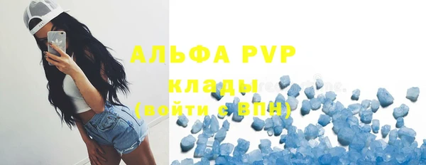 стаф Беломорск