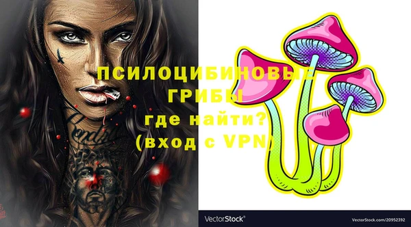 стаф Беломорск